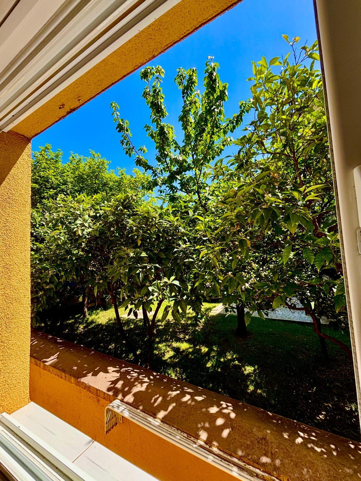 Apartments Ds Club Μπούντβα Εξωτερικό φωτογραφία